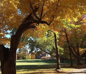  Blue Hills Great Estate Fall Foliage Weekend in Milton 2018 