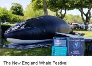 New England Whale Festival 2019 in Quincy MA