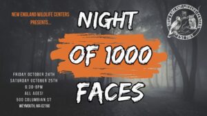 New England Wildlife Center Night of Thousand Faces  2025 in Weymouth MA