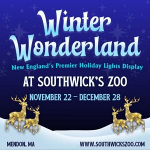 Winter Wonderland Christmas Holiday Lights at Southwick Zoo Mendon 2025